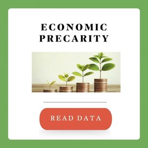 Economic Precarity clickable graphic
